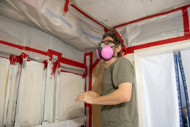 Best Commercial Mold Inspection  in North Hartsville, SC