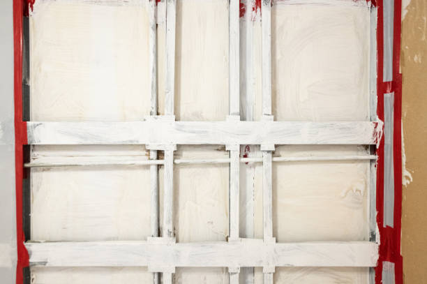 Asbestos and Lead Testing During Mold Inspection in North Hartsville, SC