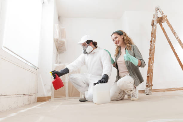 Best Comprehensive Air Testing for Mold Contaminants  in North Hartsville, SC